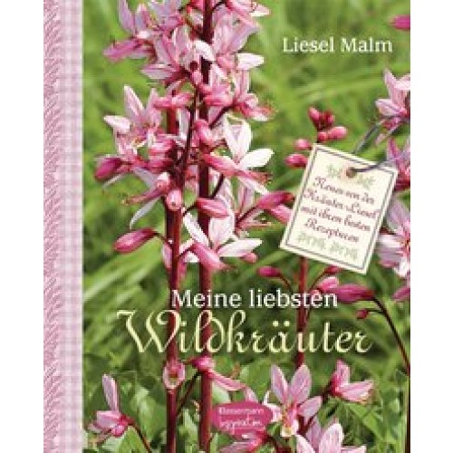 Meine liebsten Wildkräuter